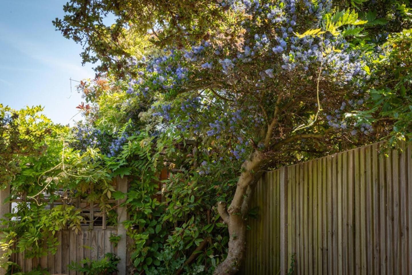 Eden Cottage Уитстабл Экстерьер фото